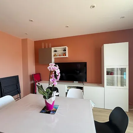 Moderne Centre-ville, Proche Plage, 5 Couchages, Parking Prive - Fr-1-197-555 דירה